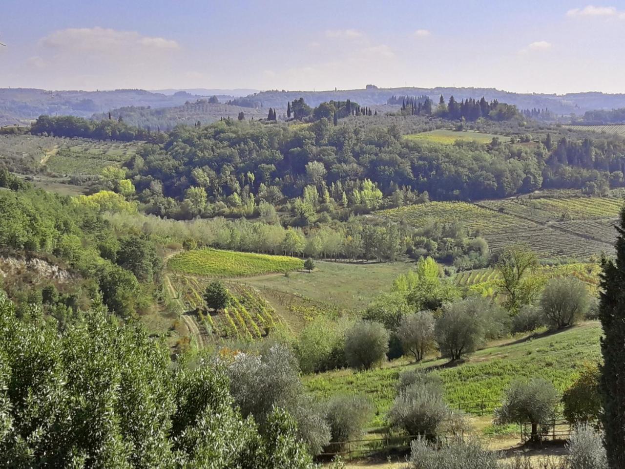 Agriturismo Villa Gorgognano Certaldo Bagian luar foto